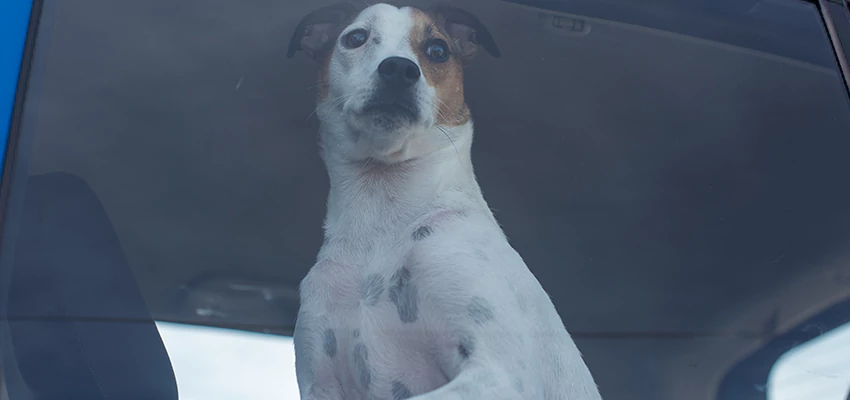 Car Lockout Solutions in Pismo Beach, California